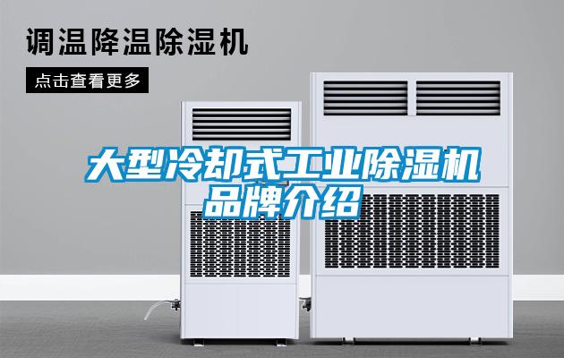 大型冷却式工业黄瓜视频下载污机品牌介绍