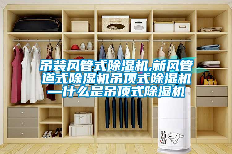 吊装风管式黄瓜视频下载污机,新风管道式黄瓜视频下载污机吊顶式黄瓜视频下载污机—什么是吊顶式黄瓜视频下载污机