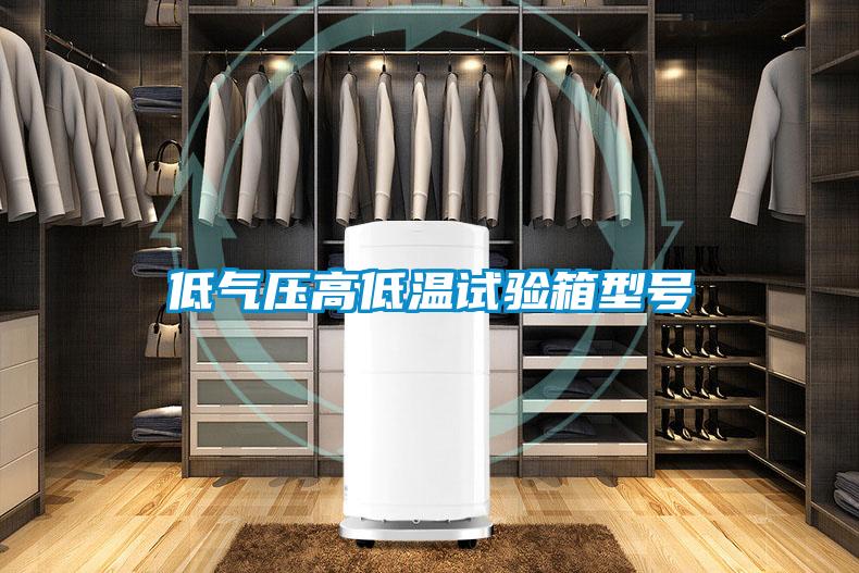 低气压高低温试验箱型号
