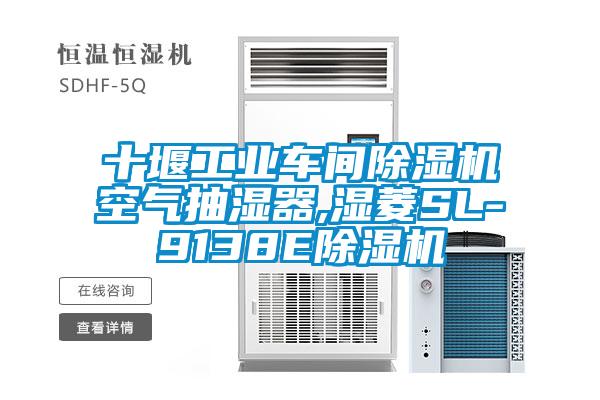十堰工业车间黄瓜视频下载污机空气抽湿器,湿菱SL-9138E黄瓜视频下载污机