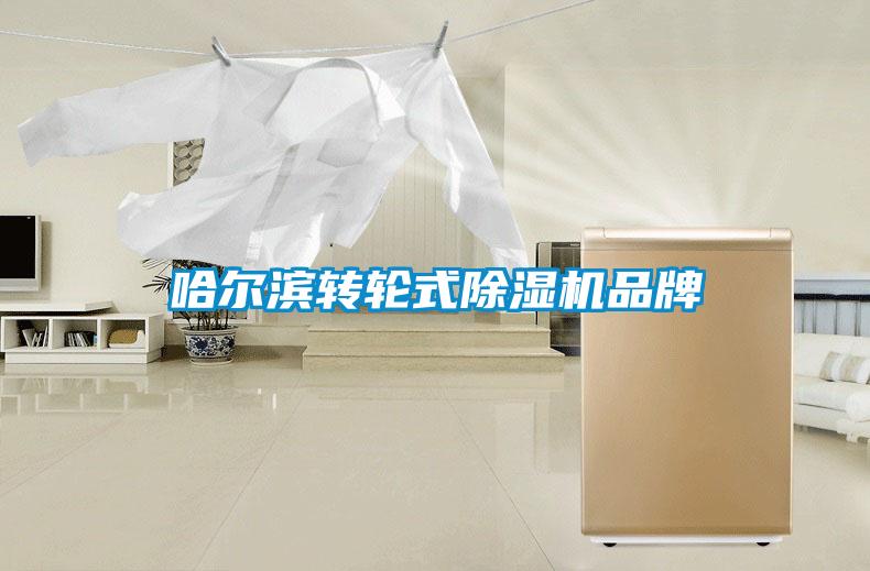 哈尔滨转轮式黄瓜视频下载污机品牌