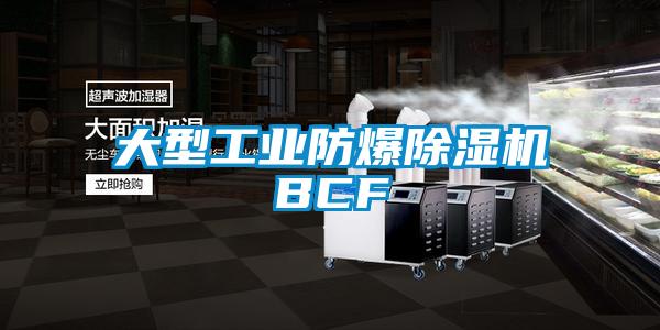 大型工业防爆黄瓜视频下载污机BCF