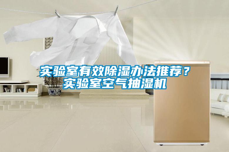实验室有效黄瓜视频下载污办法推荐？实验室空气抽湿机