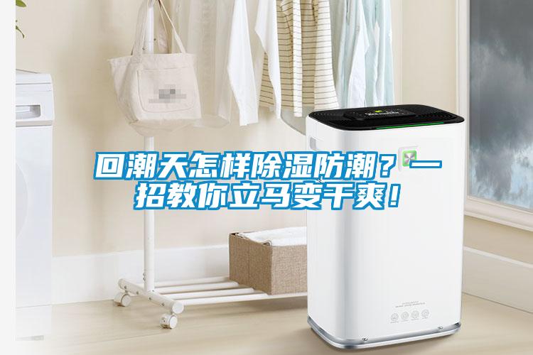 回潮天怎样黄瓜视频下载污防潮？一招教你立马变干爽！