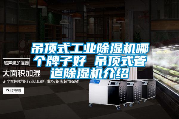 吊顶式工业黄瓜视频下载污机哪个牌子好 吊顶式管道黄瓜视频下载污机介绍