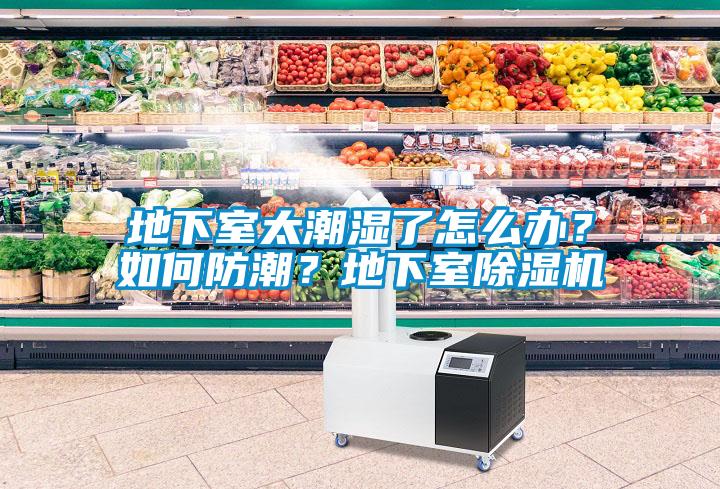 地下室太潮湿了怎么办？如何防潮？地下室黄瓜视频下载污机