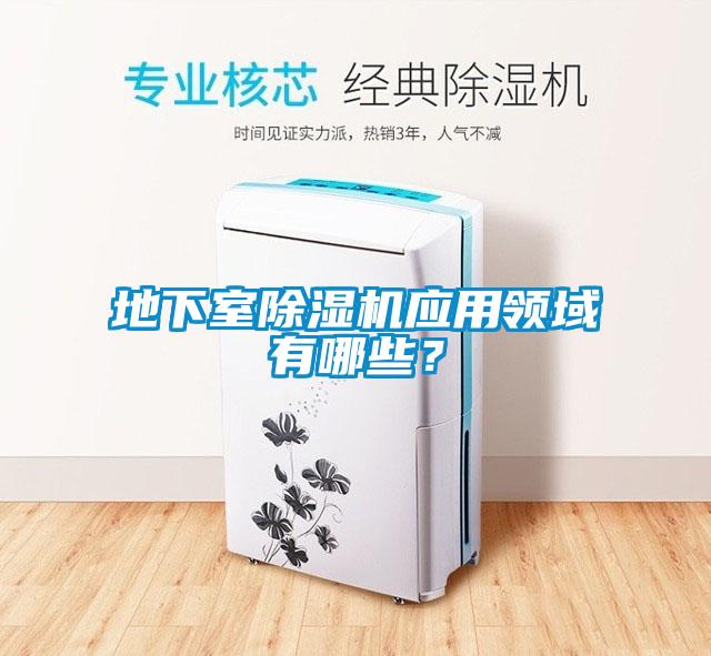 地下室黄瓜视频下载污机应用领域有哪些？
