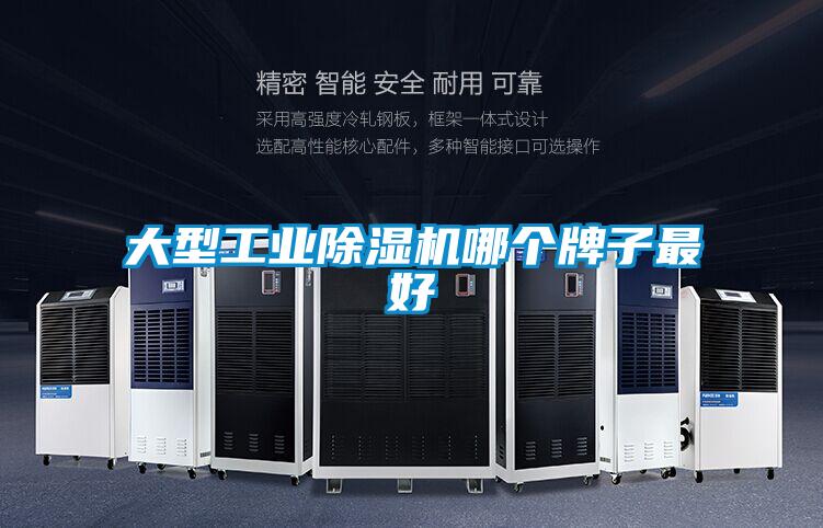 大型工业黄瓜视频下载污机哪个牌子最好