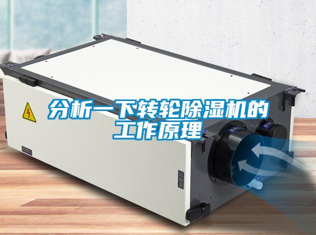 分析一下转轮黄瓜视频下载污机的工作原理
