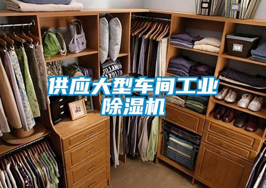 供应大型车间工业黄瓜视频下载污机