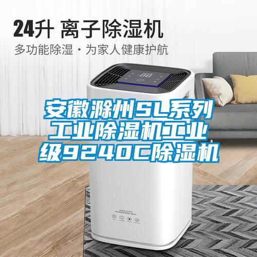 安徽滁州SL系列工业黄瓜视频下载污机工业级9240C黄瓜视频下载污机