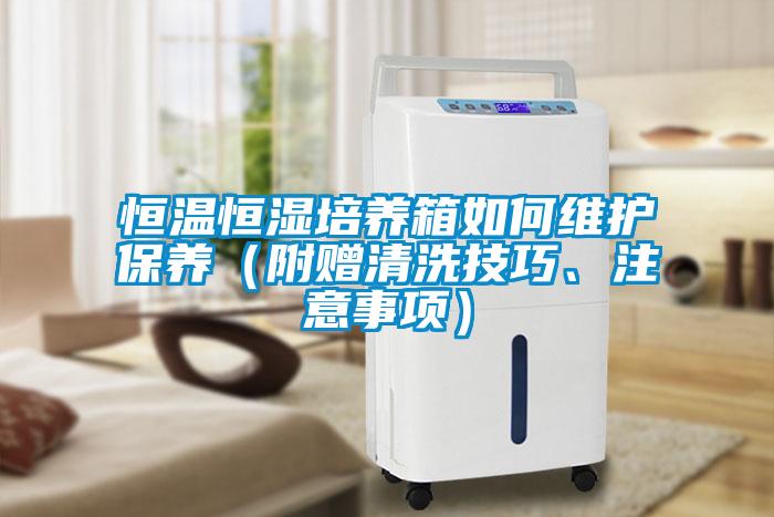 恒温恒湿培养箱如何维护保养（附赠清洗技巧、注意事项）