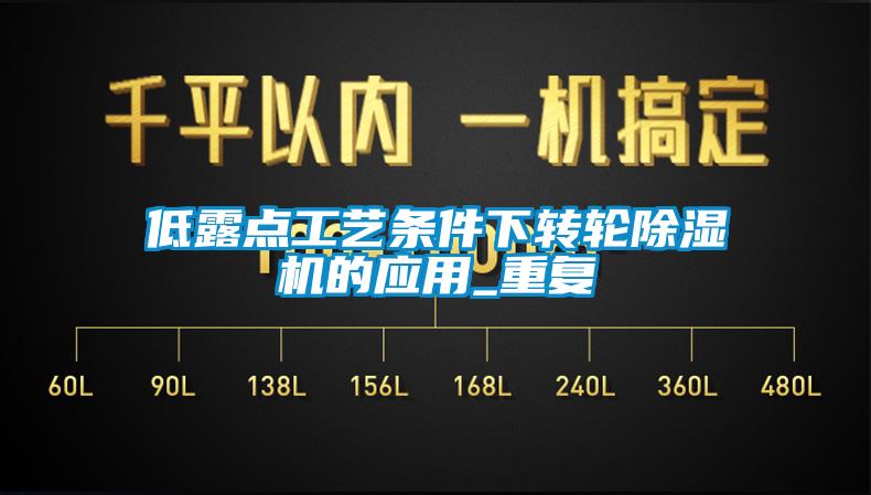 低露点工艺条件下转轮黄瓜视频下载污机的应用_重复