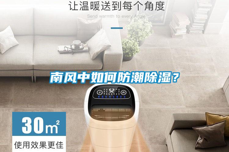 南风中如何防潮黄瓜视频下载污？
