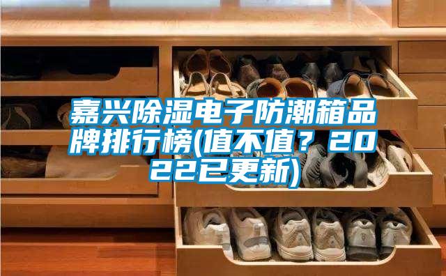 嘉兴黄瓜视频下载污电子防潮箱品牌排行榜(值不值？2022已更新)
