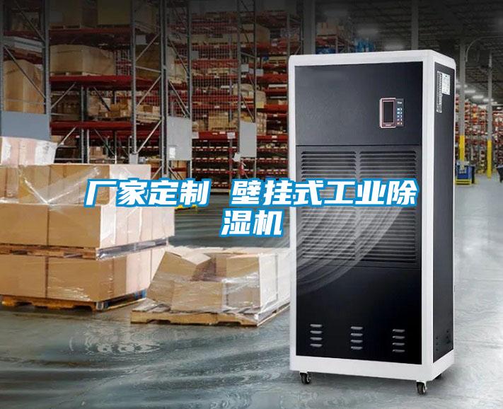 厂家定制 壁挂式工业黄瓜视频下载污机