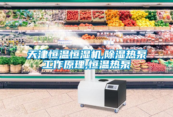天津恒温恒湿机,黄瓜视频下载污热泵工作原理,恒温热泵