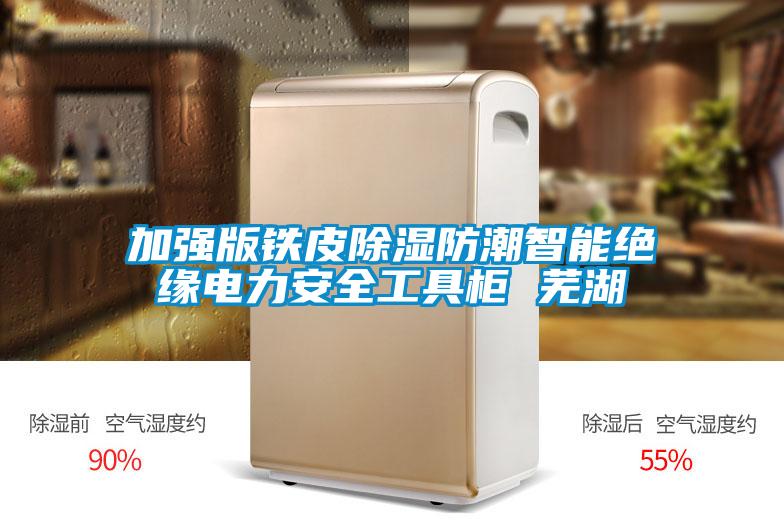 加强版铁皮黄瓜视频下载污防潮智能绝缘电力安全工具柜 芜湖