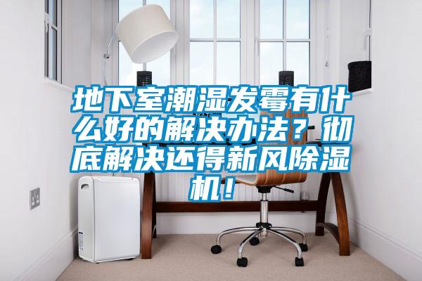 地下室潮湿发霉有什么好的解决办法？彻底解决还得新风黄瓜视频下载污机！