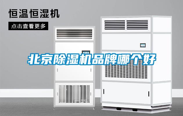 北京黄瓜视频下载污机品牌哪个好