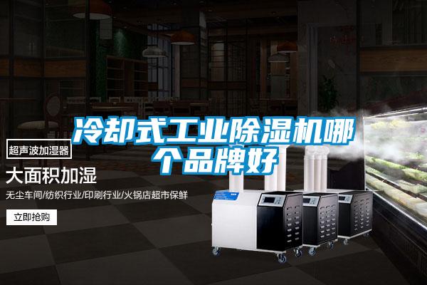 冷却式工业黄瓜视频下载污机哪个品牌好