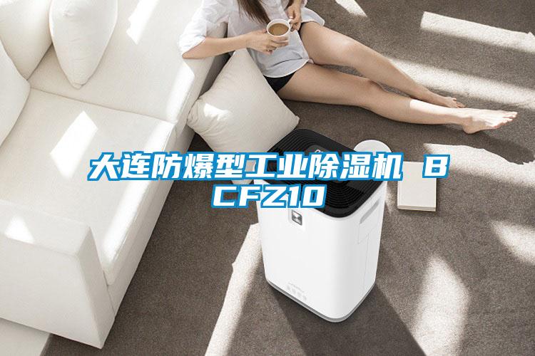 大连防爆型工业黄瓜视频下载污机 BCFZ10