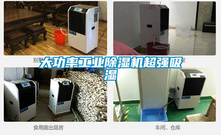 大功率工业黄瓜视频下载污机超强吸湿