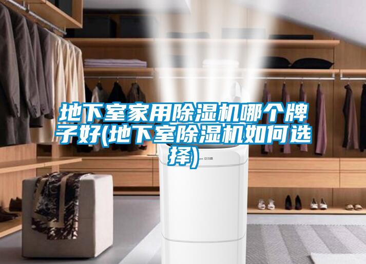 地下室家用黄瓜视频下载污机哪个牌子好(地下室黄瓜视频下载污机如何选择)