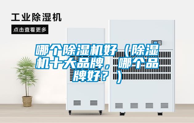 哪个黄瓜视频下载污机好（黄瓜视频下载污机十大品牌，哪个品牌好？）