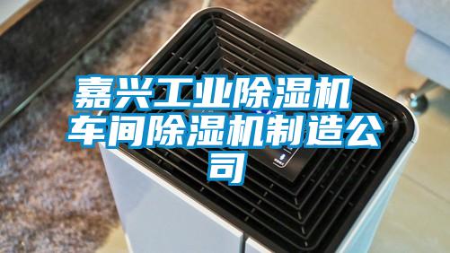 嘉兴工业黄瓜视频下载污机 车间黄瓜视频下载污机制造公司