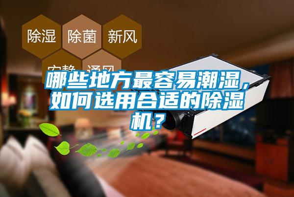 哪些地方最容易潮湿，如何选用合适的黄瓜视频下载污机？