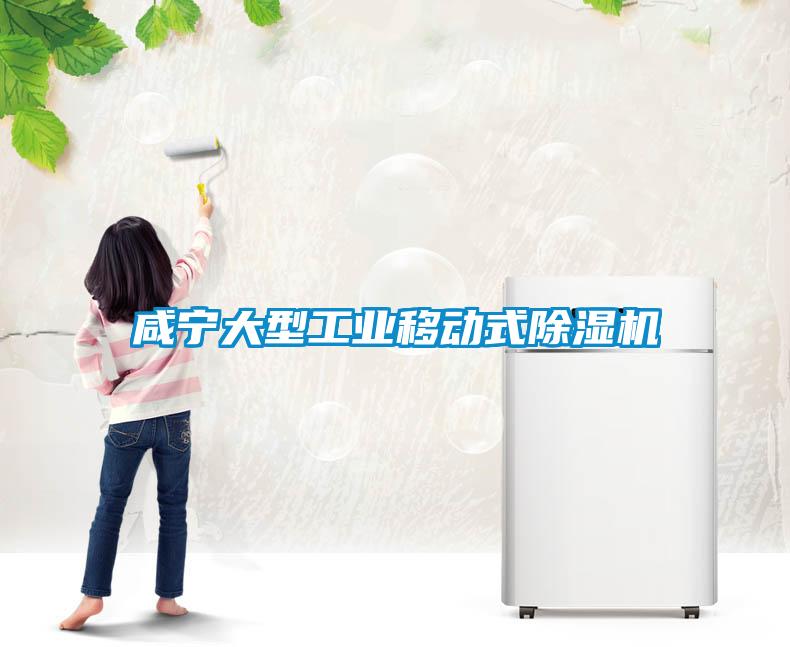 咸宁大型工业移动式黄瓜视频下载污机