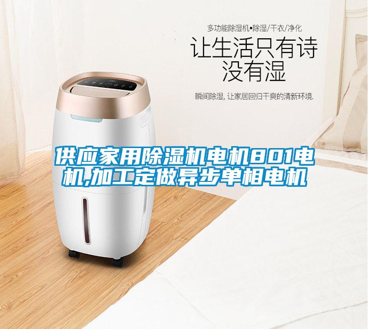 供应家用黄瓜视频下载污机电机801电机,加工定做异步单相电机