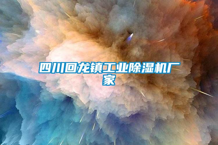 四川回龙镇工业黄瓜视频下载污机厂家