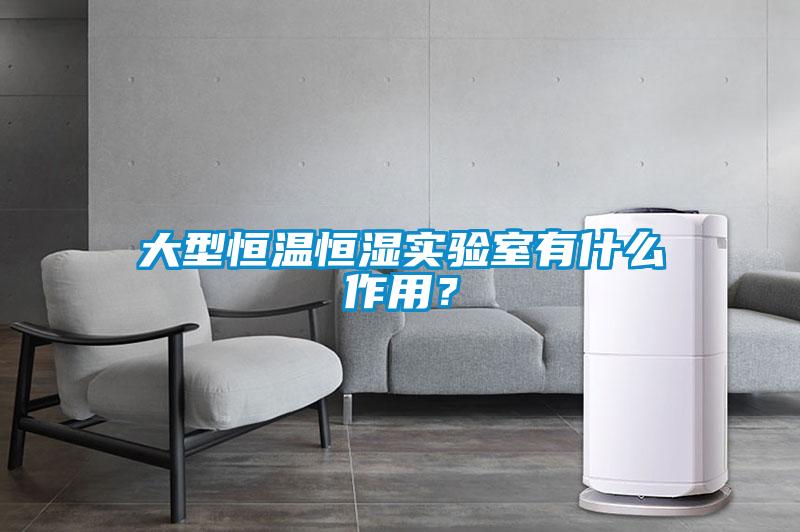大型恒温恒湿实验室有什么作用？
