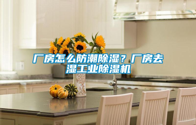 厂房怎么防潮黄瓜视频下载污？厂房去湿工业黄瓜视频下载污机