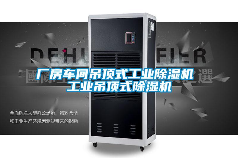 厂房车间吊顶式工业黄瓜视频下载污机 工业吊顶式黄瓜视频下载污机