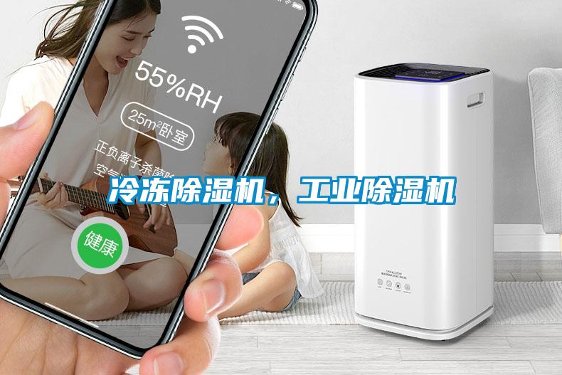 冷冻黄瓜视频下载污机，工业黄瓜视频下载污机