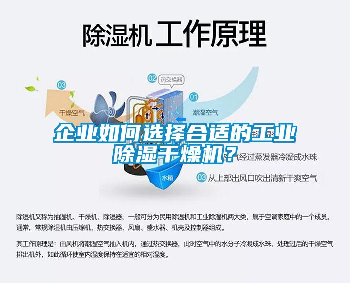 企业如何选择合适的工业黄瓜视频下载污干燥机？
