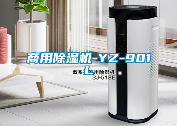 商用黄瓜视频下载污机-YZ-901L