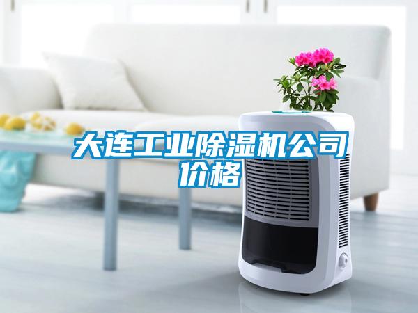 大连工业黄瓜视频下载污机公司价格