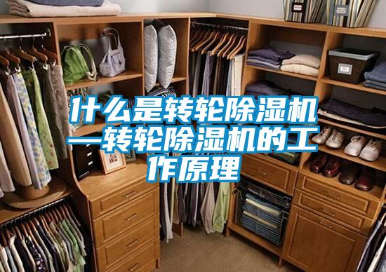什么是转轮黄瓜视频下载污机—转轮黄瓜视频下载污机的工作原理