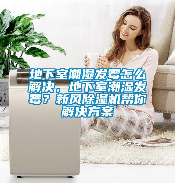 地下室潮湿发霉怎么解决，地下室潮湿发霉？新风黄瓜视频下载污机帮你解决黄瓜视频下载APP