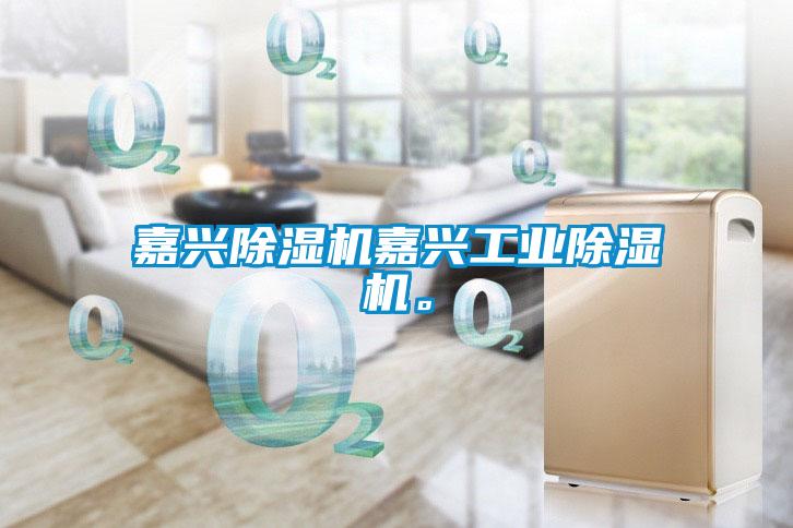 嘉兴黄瓜视频下载污机嘉兴工业黄瓜视频下载污机。