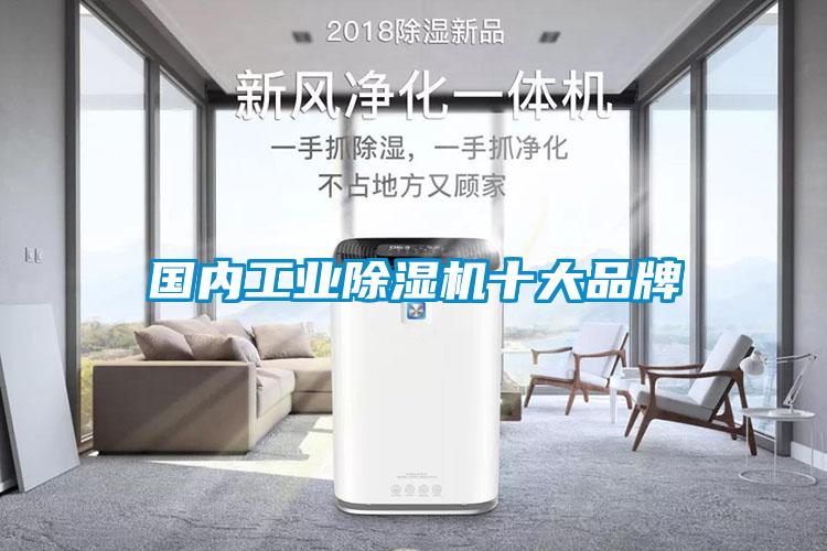 国内工业黄瓜视频下载污机十大品牌