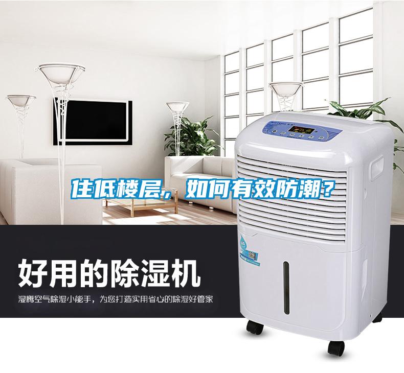 住低楼层，如何有效防潮？