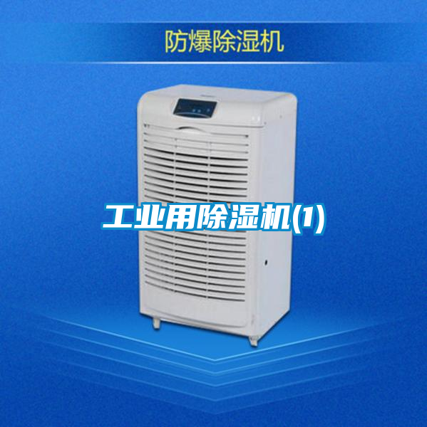 工业用黄瓜视频下载污机(1)
