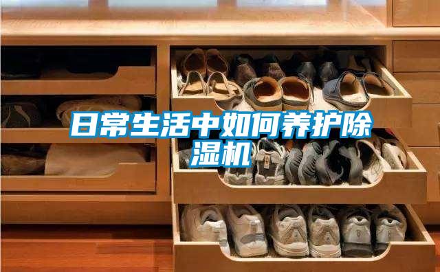 日常生活中如何养护黄瓜视频下载污机