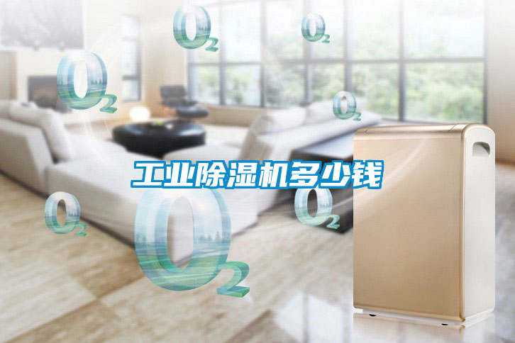工业黄瓜视频下载污机多少钱