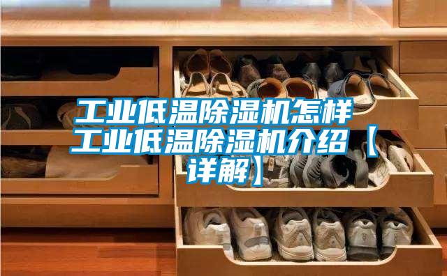 工业低温黄瓜视频下载污机怎样 工业低温黄瓜视频下载污机介绍【详解】